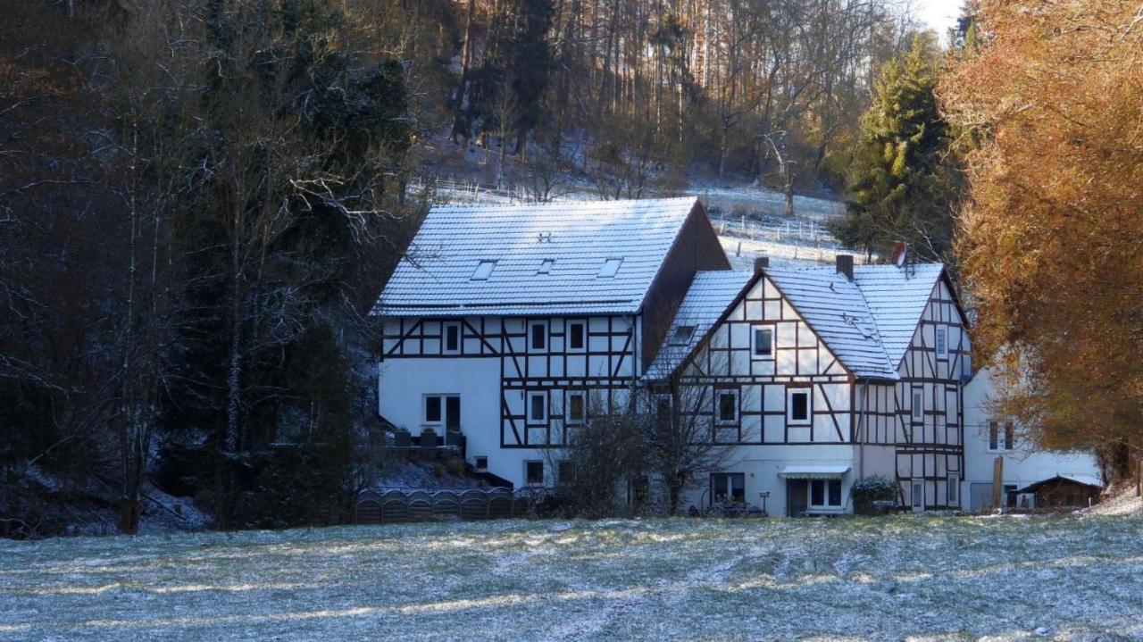 Апартаменты Haus An Der Werbe Вальдек Экстерьер фото